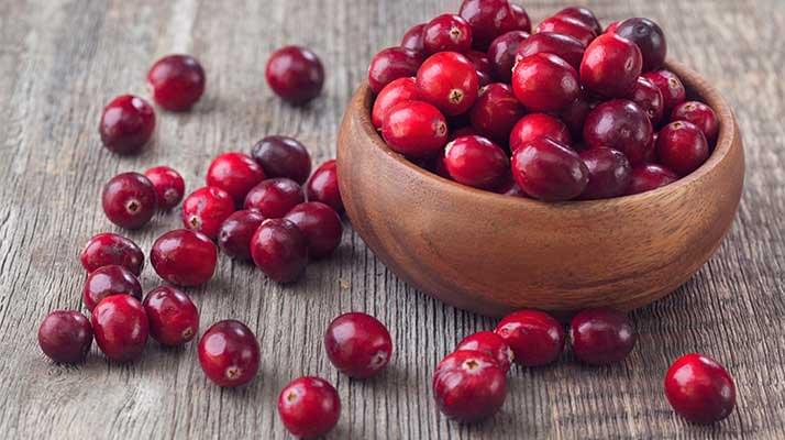 Tőzegáfonya Tőzegáfonya előnyei és története